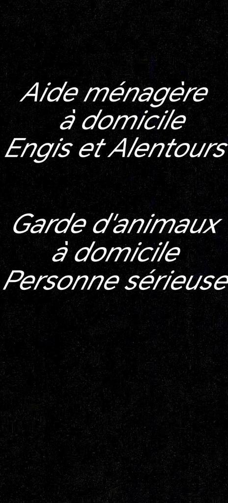 Aide ménagère, Garde d'animaux., Vacatures, Vacatures | Overige Vacatures
