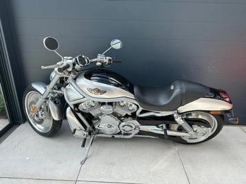 Harley-Davidson V-ROD 100th Anniversary (bj 2003), Motoren, Motoren | Harley-Davidson, 1130 cc, Meer dan 35 kW, Overig