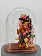 Glazen stolp met droogbloemen en Papilio-vlinders