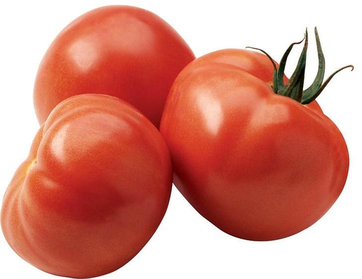 Graines de tomates Antalya F1 Récolte 2025, Jardin & Terrasse, Bulbes & Semences, Graine, Printemps, Enlèvement ou Envoi