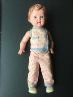 Vintage Cellulöide Schildkrötpop T44  1950, Ophalen of Verzenden, Gebruikt, Pop