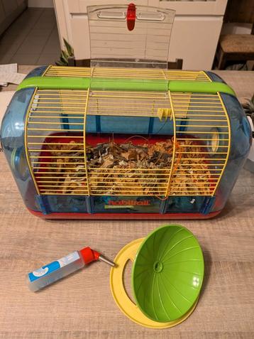 Hamster kooi. 40*25cm. Met toebehoren. Brussel. Noordstation beschikbaar voor biedingen