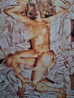 affiches Hockney,Spilliaert,Ensor,Warhol,Delvoye,Tytgat, e.a, Ophalen