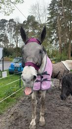 Vliegenmasker wheaterbee en vliegendeken EJ, Animaux & Accessoires, Chevaux & Poneys | Produits de soin, Comme neuf, Enlèvement ou Envoi