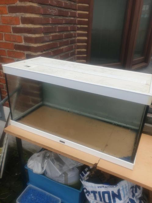 Te koop wegens verhuizing !!, Dieren en Toebehoren, Vissen | Aquaria en Toebehoren, Zo goed als nieuw, Ophalen