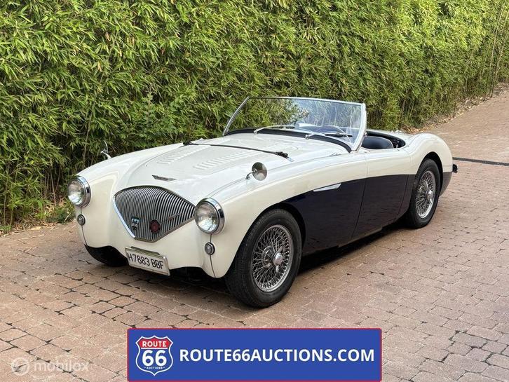 Austin Healey 100M | 1956 | Route 66 Auctions, Auto's, Oldtimers, Bedrijf, Te koop, Austin, Benzine, Overige carrosserie, Handgeschakeld