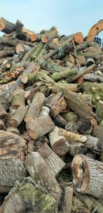 lot brandhout, 6 m³ of meer, Ophalen of Verzenden, Overige houtsoorten, Blokken