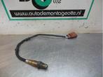 Sonde lambda d'un Volkswagen Beetle (Beetle 98-), Volkswagen, -, 3 mois de garantie, Utilisé