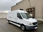 Mercedes - Benz Sprinter 313CDI MAXI CARRIER KOELWAGEN, Euro 5, 4 cilinders, Wit, Mercedes-Benz