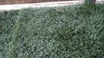 overschot kunstgras, Tuin en Terras, Gras en Kunstgras, Ophalen, Gebruikt, 10 tot 20 m², Kunstgras
