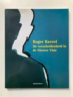 Roger Raveel de verscheidenheid in de Nieuwe Visie, Boeken, Kunst en Cultuur | Beeldend, Ophalen of Verzenden