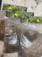 3 zakken terrarium mos, Dieren en Toebehoren, Nieuw, Ophalen of Verzenden