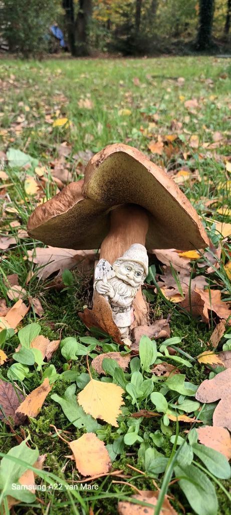 Huis, Immo, Huizen en Appartementen te koop, Provincie Antwerpen, 1500 m² of meer, Vrijstaande woning, Verkoop zonder makelaar