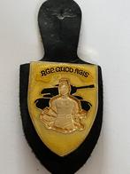 Pendentif de poitrine 6e génie (relief doré), Envoi, Armée de terre, Emblème ou Badge