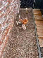 Driewieler met duwstok, roze, Enlèvement, Comme neuf