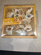 schelpen uit Indische Oceaan €4,   2 sets beschikbaar, Verzamelen, Ophalen of Verzenden