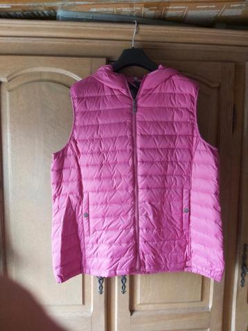 Bodywarmer met kap merk Claude Ariël Maat  XXL  nieuw  beschikbaar voor biedingen