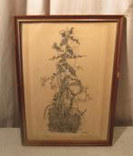 Belle gravure ancienne « Special Shrub » - Signée, Antiquités & Art, Art | Eaux-fortes & Gravures, Enlèvement ou Envoi