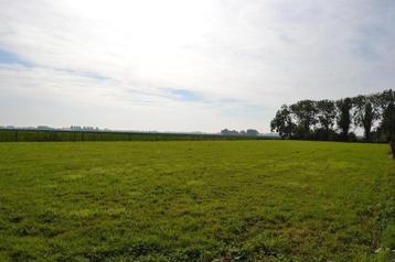 weiland te koop beschikbaar voor biedingen