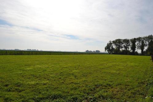 weiland te koop, Immo, Gronden en Bouwgronden, 1500 m² of meer, Verkoop zonder makelaar