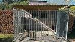 Hondenren, Dieren en Toebehoren, Ophalen, Hondenkennel, 110 cm of meer, 100 cm of meer
