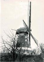 Wetteren - houten achtkant, Verzamelen, Postkaarten | België, Ophalen of Verzenden, 1980 tot heden, Ongelopen, Oost-Vlaanderen
