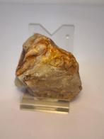 Gouden Saffier, Ophalen