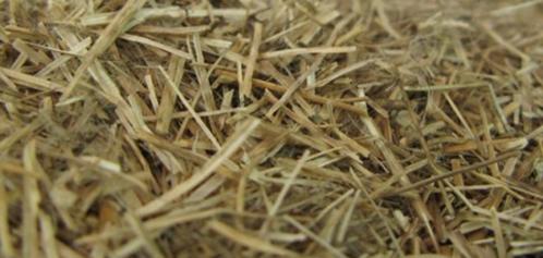 Anas de lin, LITIERE IDEAL POUR CHEVAUX / LIVRAISON GRATUITE, Dieren en Toebehoren, Stalling en Weidegang, Stalling, Accessoires