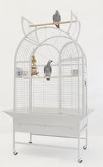Cage perroquet blanche design CAGE ARA GRIS GABON eclectus