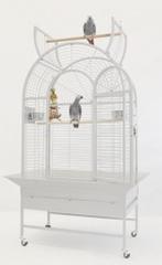 Cage perroquet blanche design CAGE ARA GRIS GABON eclectus