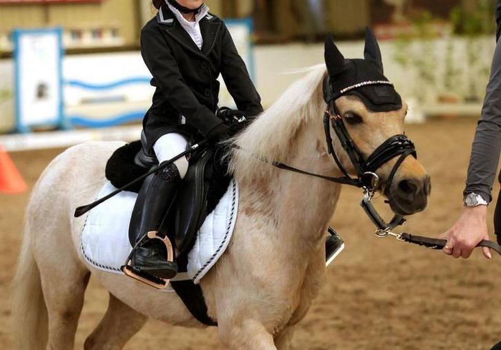 Pallomino Kinderpony’s, Dieren en Toebehoren, Paarden en Pony's | Verzorgingsproducten, Zo goed als nieuw, Ophalen
