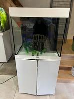 **Juwel Lido 120 L Aquarium Set**, Dieren en Toebehoren, Vissen | Aquaria en Toebehoren, Ophalen of Verzenden, Zo goed als nieuw