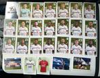 Pro league 2024 2025 panini Full set OH Leuven, Ophalen of Verzenden