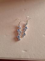 Oorbellen met blauwe steentjes, Enlèvement ou Envoi