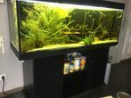 Juwel Aquarium 1m50 inclusief toebehoren en vissen, Dieren en Toebehoren, Ophalen, Gebruikt, Gevuld zoetwateraquarium