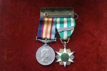 original Vietnam medal pair beschikbaar voor biedingen