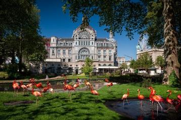 4 E tickets Antwerpen Zoo, Tickets en Kaartjes