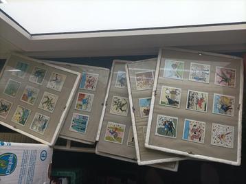 5 cadres en verres avec des cartes Tintin