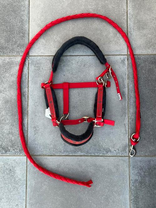 Zacht halster en halstertouw voor paard/pony, Dieren en Toebehoren, Paarden en Pony's | Hoofdstellen en Tuigage, Zo goed als nieuw