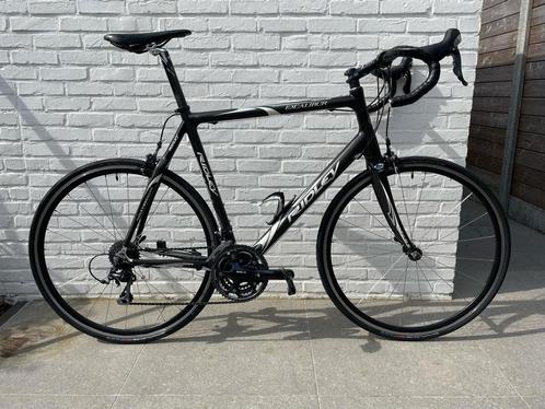 Ridley Excalibur XL, Fietsen en Brommers, Fietsen | Racefietsen, Gebruikt, Heren, Carbon, 57 tot 61 cm, Ophalen