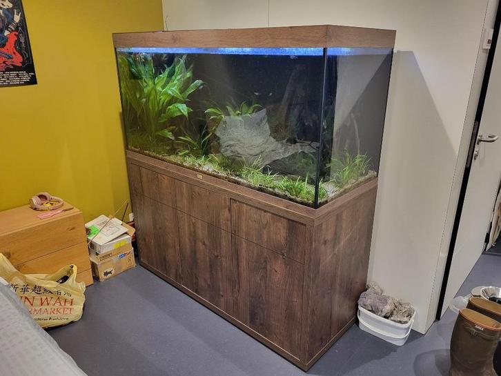 aquarium aquatlantis sublime 150 x 60 x 70, Dieren en Toebehoren, Vissen | Aquaria en Toebehoren, Zo goed als nieuw, Gevuld zoetwateraquarium