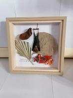 Taxidermy, Verzamelen, Verzenden, Nieuw, Insect, Opgezet dier