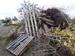 Tas de bois à donner, Jardin & Terrasse, 6 m³ ou plus, Enlèvement, Autres essences de bois, Troncs d'arbres