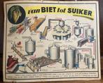 Oud Reclamebord-Biet-Bieten-Suiker-Tienen-Pancarte in karton, Ophalen of Verzenden, Gebruikt, Reclamebord