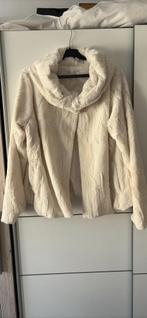 Veste hivers, Kleding | Dames, Jassen | Zomer, Ophalen, Zo goed als nieuw