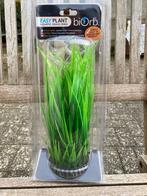 Gras ring aquarium, easy plant, biorb, Animaux & Accessoires, Comme neuf, Enlèvement ou Envoi