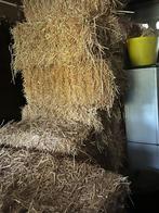 Tarwe stro, Dieren en Toebehoren, Dierenvoeding, Ophalen