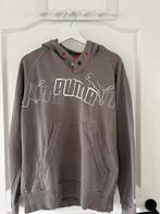 Hoodie Puma Grijs S, Kleding | Heren, Truien en Vesten, Puma, Ophalen of Verzenden, Grijs, Gedragen