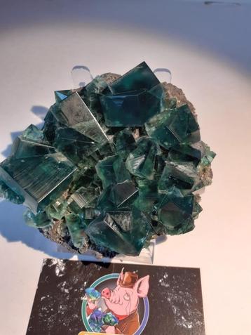 UV fluorites rogerley  en Diana mijnen