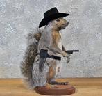 Cowboy eekhoorn taxidermie dierenstandbeeld op basis, Ophalen of Verzenden, Cowboy eekhoorn taxidermie dierenstandbeeld op basis